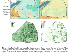 Sierra Nevada's Snowpack: Forest Structure's Crucial Role in Water Resource Dynamics