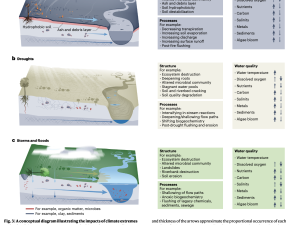 Understanding Land-River Connectivity is Crucial to Protecting River Water Quality