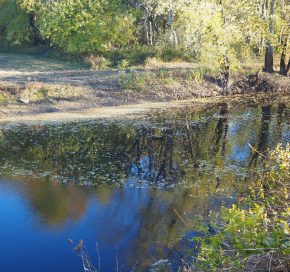 Riverlab Location