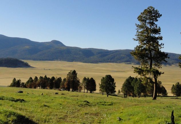 grass, trees, and mountains at the Jemez River Basin in the Valles Caldera National Preserve