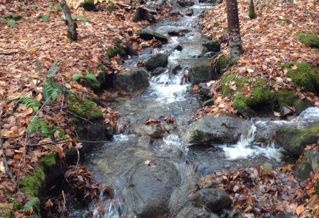 An image of a reiver at the Sleepers River Research Watershed Association