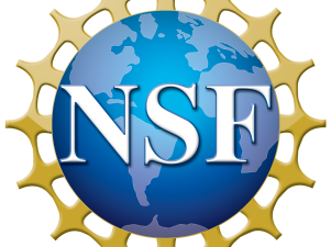 NSF Solicitation - Findable Accessible Interoperable Reusable Open Science Research Coordination Networks (FAIROS RCNs)