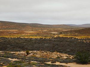 Postdoctoral Scientist Position at the Landscape Evolution Observatory