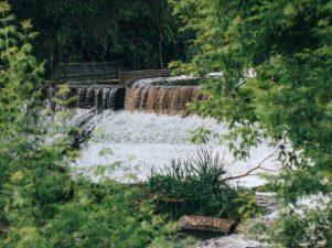 Announcing the 2022 Fellows of the National Water Center Innovators Program Summer Institute